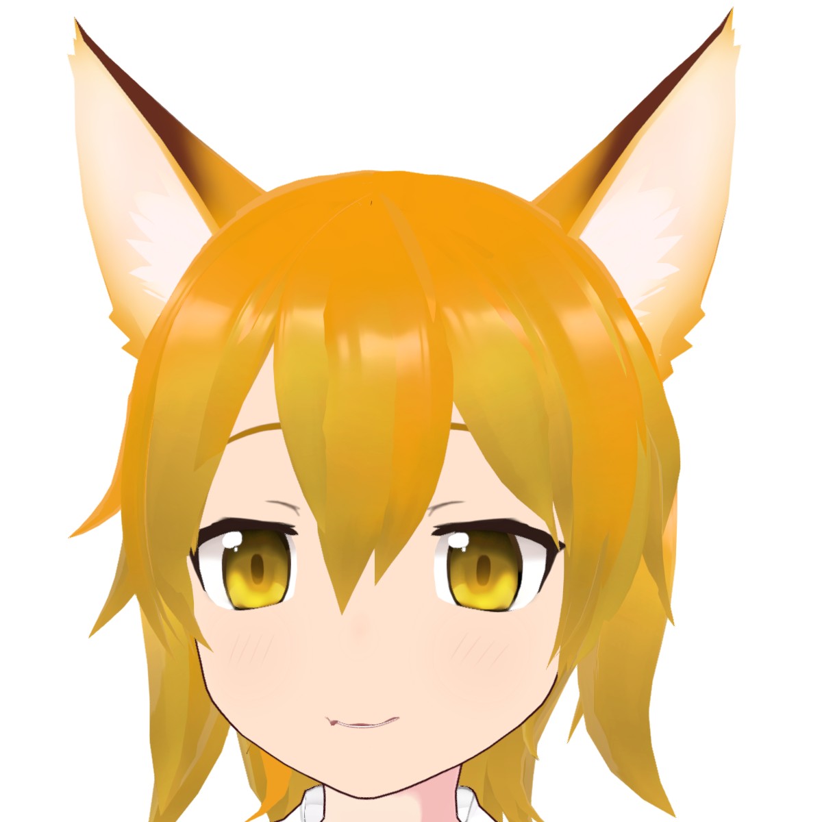ねこ仙人 Amazon | [Mintinn] ミントイン 前ポケットトートバッグ