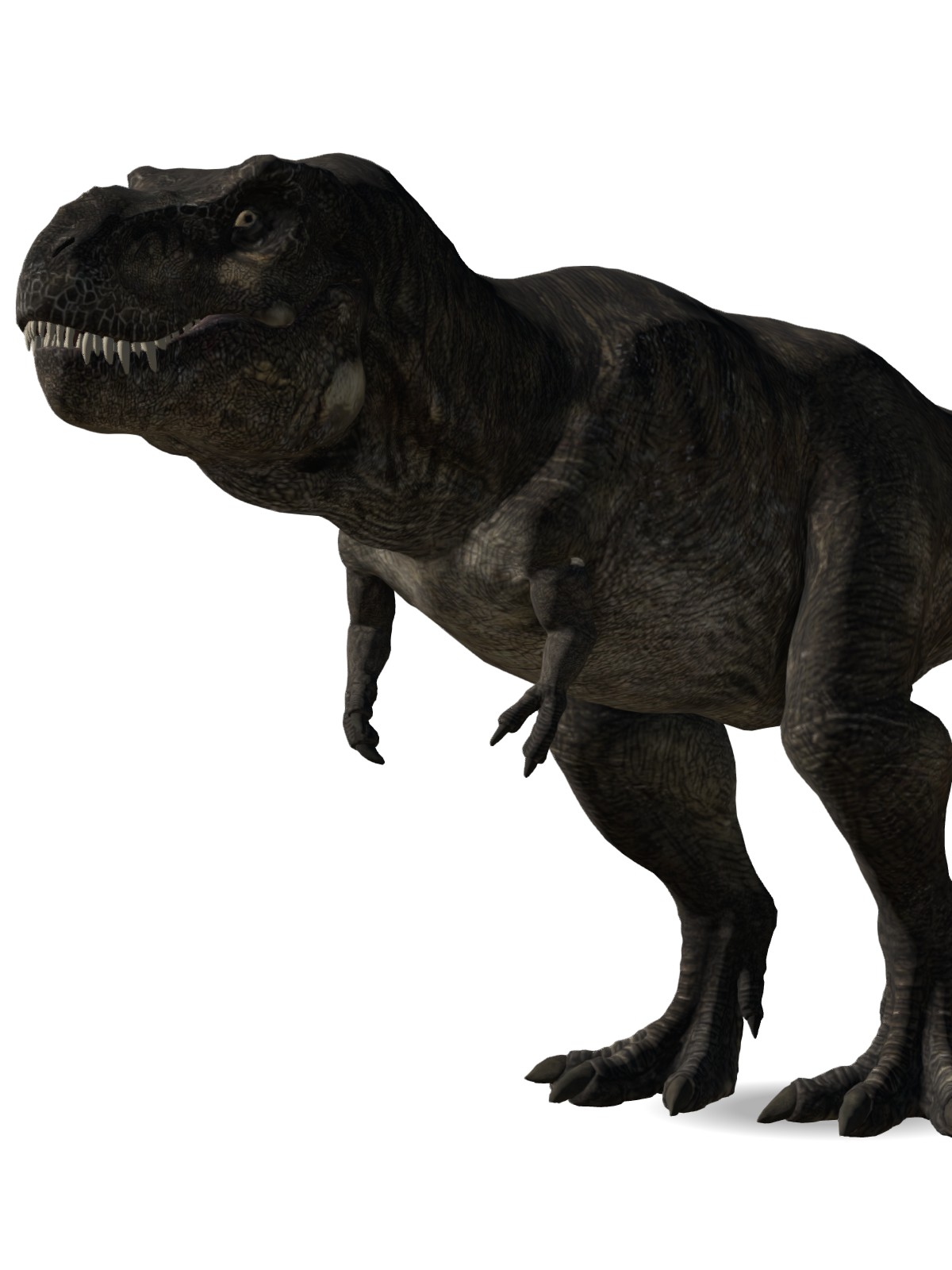 ember the t-rex - VRoid Hub
