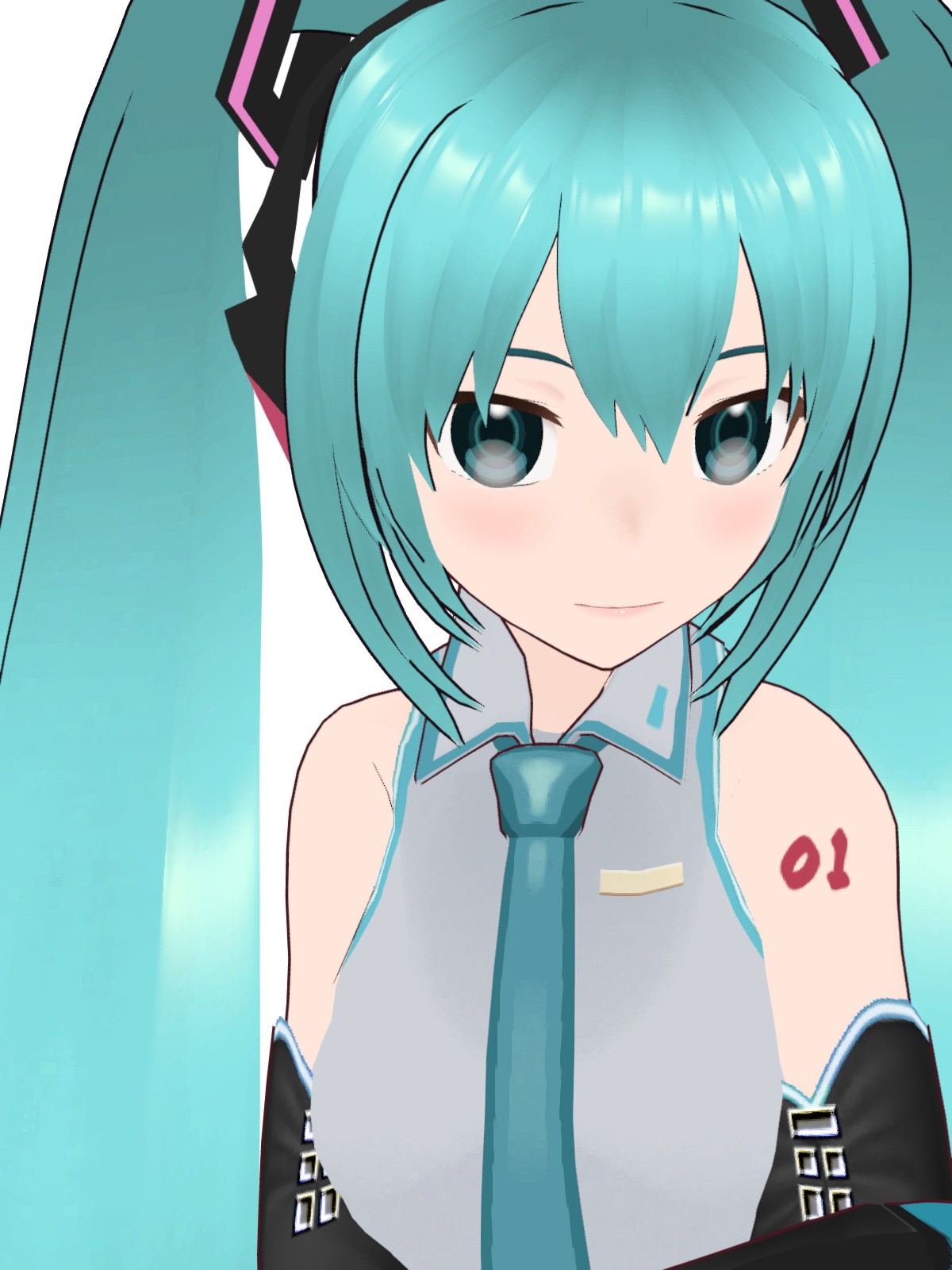初音ミク　 ドール服収納筋トレ旅行外出用特大バック　57x27x29cm CORDURA】初音ミク バックパック
