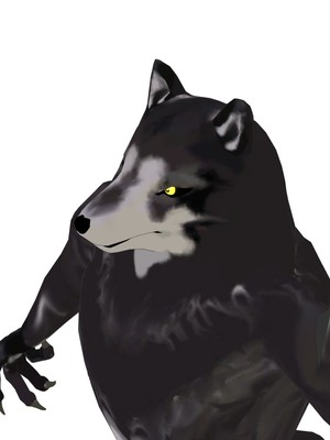 もふっとオオカミ ミステリアス　VMCコンプリート 396027956402958946.png