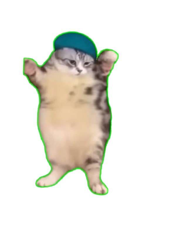 猫ミーム 最近よく聞く猫ミームとはいったいにゃんだい！？ #猫 #cat #猫